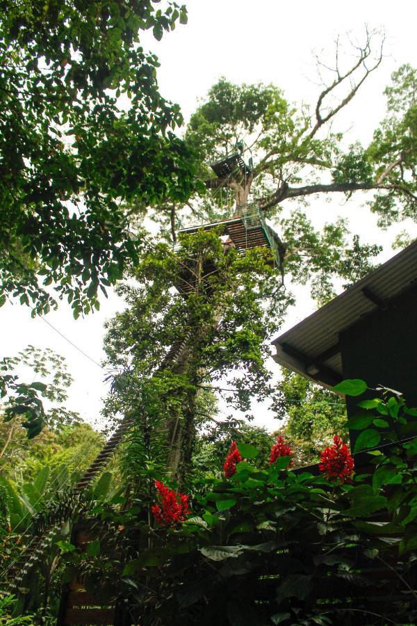 Hotel Boutique The Green Jungle House Puerto Viejo de Talamanca Exterior foto