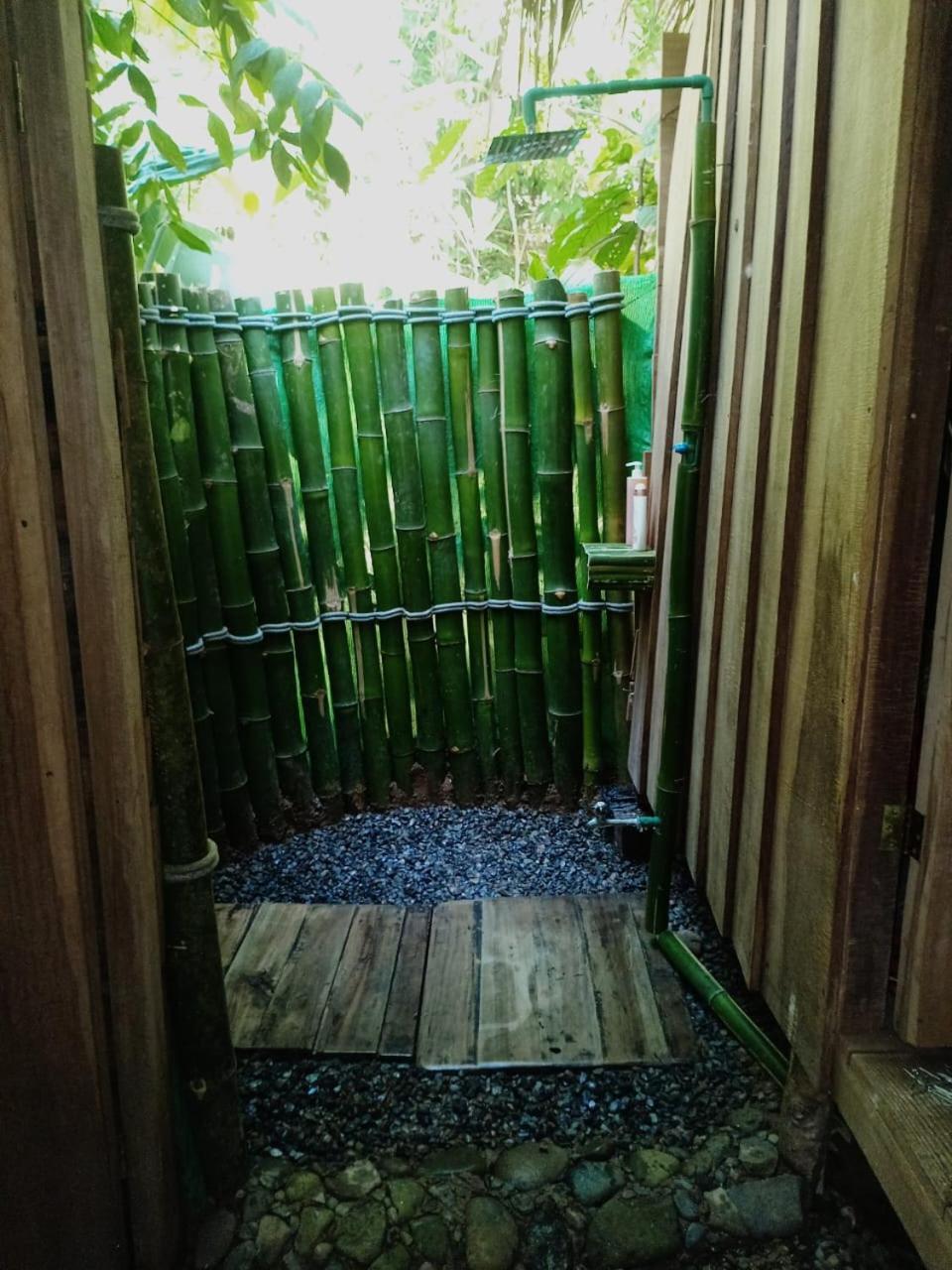 Hotel Boutique The Green Jungle House Puerto Viejo de Talamanca Exterior foto