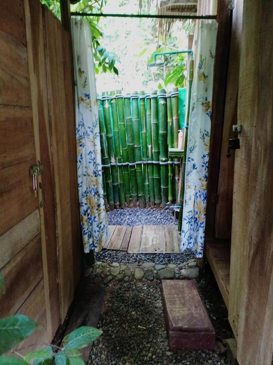 Hotel Boutique The Green Jungle House Puerto Viejo de Talamanca Exterior foto
